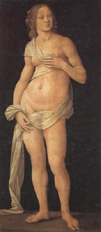 LORENZO DI CREDI Venus oil painting image